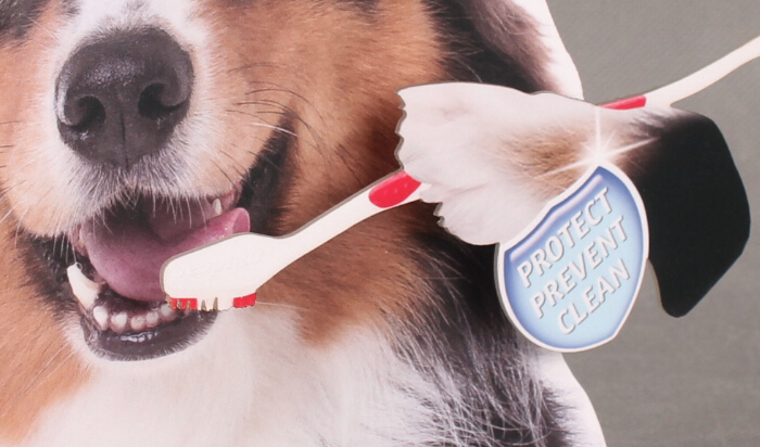 牙刷展示架頭牌 牙刷展示架頭牌